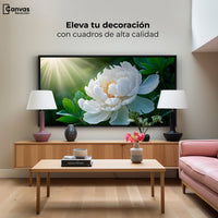 Cuadros Decorativos Canvas Revolution | Rayos De Peonia | Montaje2