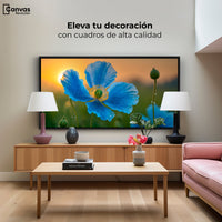 Cuadros Decorativos Canvas Revolution | Sueno De Amapolas | Montaje2