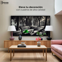 Cuadros Decorativos Canvas Revolution | Verde En Descanso | Montaje2