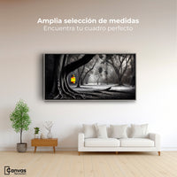 Cuadros Decorativos Canvas Revolution | Bosque Iluminado | Montaje3