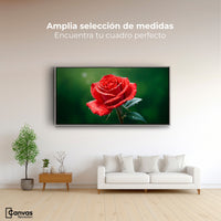 Cuadros Decorativos Canvas Revolution | Brillo Rosa Luz | Montaje3
