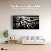 Cuadros Decorativos Canvas Revolution | Buzon En La Pradera | Montaje3