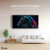 Cuadros Decorativos Canvas Revolution | Caballo Cosmico | Montaje3
