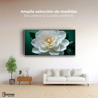 Cuadros Decorativos Canvas Revolution | Camelia Eterna Flor | Montaje3
