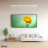 Cuadros Decorativos Canvas Revolution | Canto De Ranunculo | Montaje3