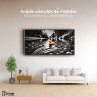 Cuadros Decorativos Canvas Revolution | Flotando Solo | Montaje3