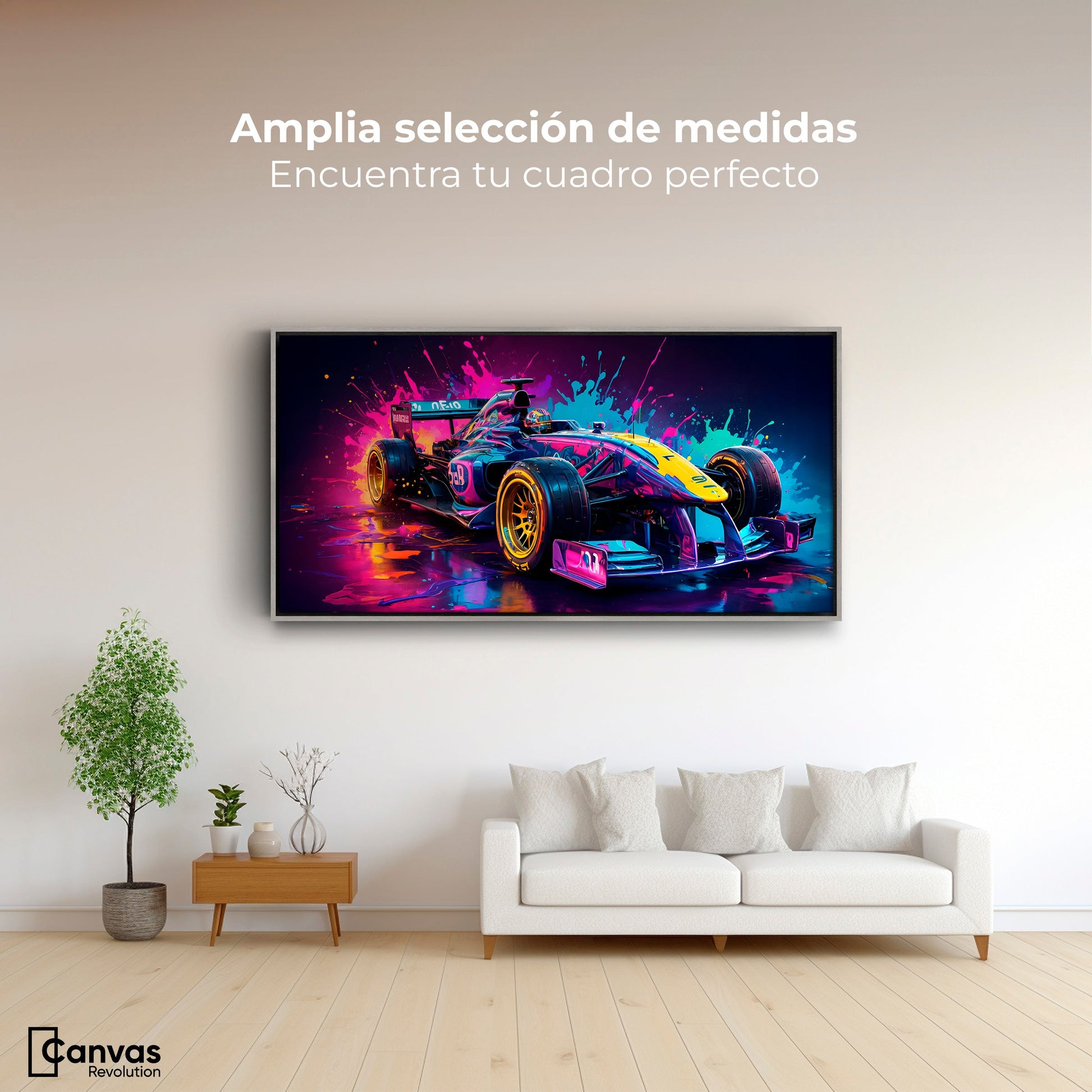 Cuadros Decorativos Canvas Revolution | Furia Multicolor | Montaje3