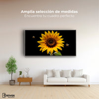 Cuadros Decorativos Canvas Revolution | Girasol En Vuelo | Montaje3