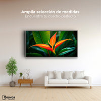 Cuadros Decorativos Canvas Revolution | Heliconia Pura Vida | Montaje3