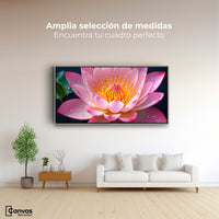 Cuadros Decorativos Canvas Revolution | Loto Dual Radiante | Montaje3
