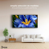 Cuadros Decorativos Canvas Revolution | Magia Flor Iris | Montaje3