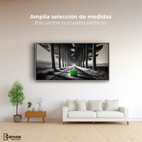 Cuadros Decorativos Canvas Revolution | Maleta Solitaria | Montaje3