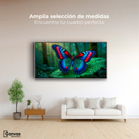 Cuadros Decorativos Canvas Revolution | Mariposa De Selva | Montaje3