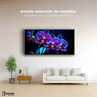 Cuadros Decorativos Canvas Revolution | Orquidea Destello | Montaje3