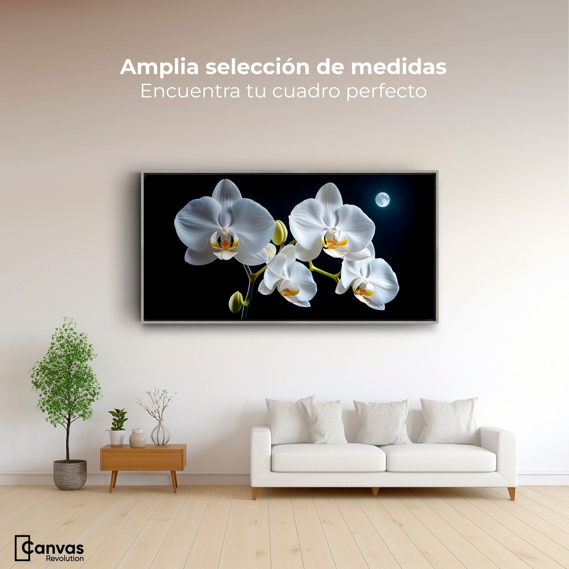 Cuadros Decorativos Canvas Revolution | Orquideas De Noche | Montaje3