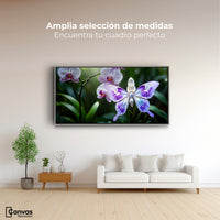 Cuadros Decorativos Canvas Revolution | Orquideas Y Alas | Montaje3
