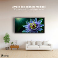 Cuadros Decorativos Canvas Revolution | Pasion Flor Eterna | Montaje3