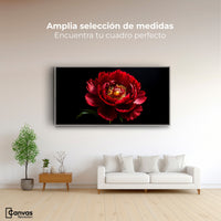 Cuadros Decorativos Canvas Revolution | Peonia De Noche | Montaje3