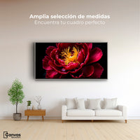 Cuadros Decorativos Canvas Revolution | Peonia Dualidad | Montaje3