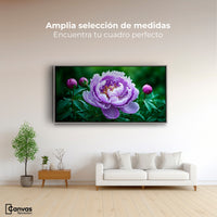 Cuadros Decorativos Canvas Revolution | Peonia Morada Viva | Montaje3
