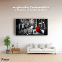 Cuadros Decorativos Canvas Revolution | Piedras Y Petalos | Montaje3