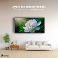 Cuadros Decorativos Canvas Revolution | Rayos De Peonia | Montaje3