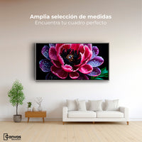 Cuadros Decorativos Canvas Revolution | Rosa Purpura Eterna | Montaje3