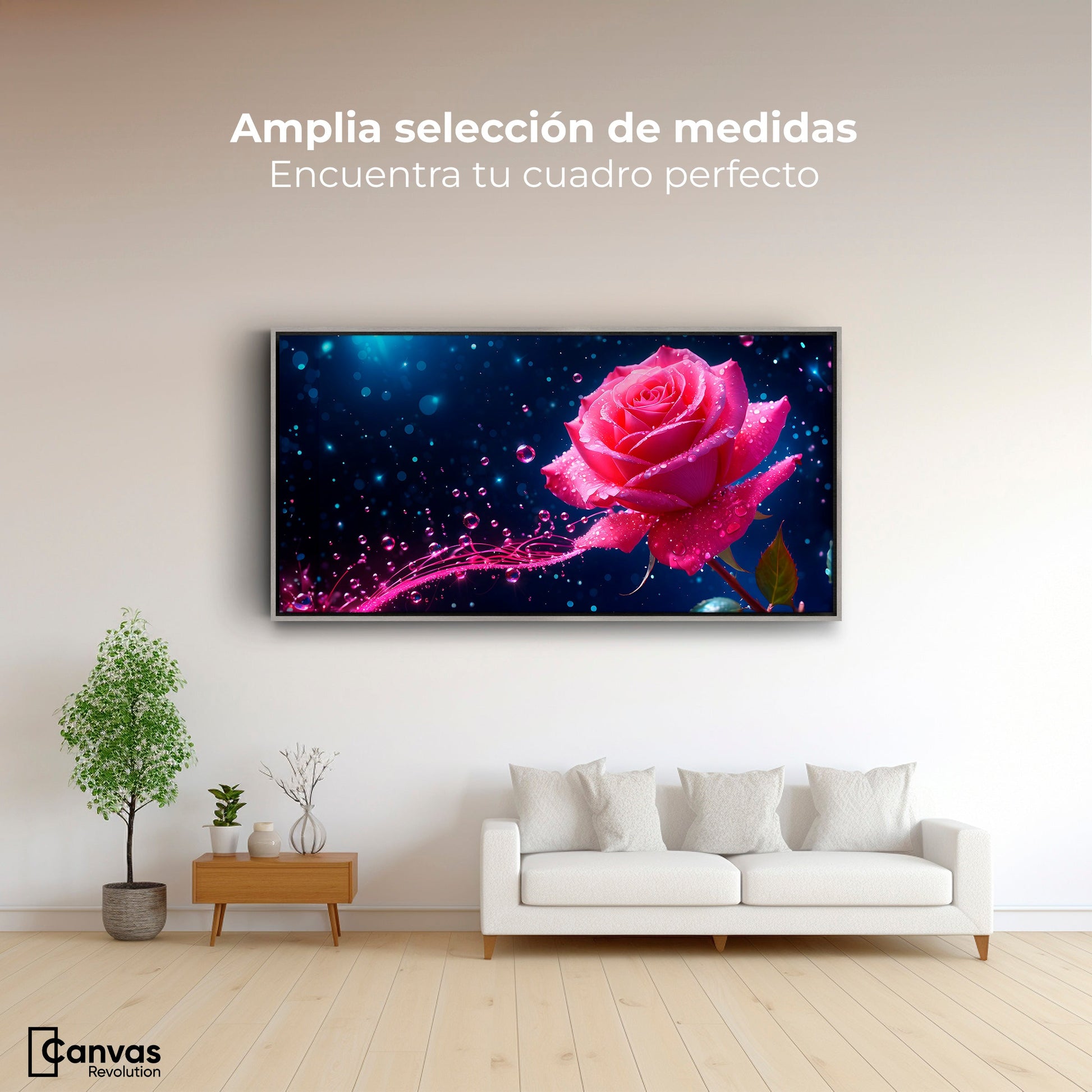 Cuadros Decorativos Canvas Revolution | Rosa Radiante Sueno | Montaje3