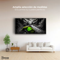 Cuadros Decorativos Canvas Revolution | Verde Silencio | Montaje3