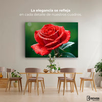 Cuadros Decorativos Canvas Revolution | Brillo Rosa Luz | Montaje4
