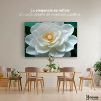 Cuadros Decorativos Canvas Revolution | Camelia Eterna Flor | Montaje4