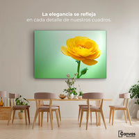 Cuadros Decorativos Canvas Revolution | Canto De Ranunculo | Montaje4