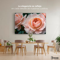 Cuadros Decorativos Canvas Revolution | Eterna Rosa Inglesa | Montaje4
