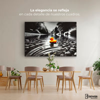 Cuadros Decorativos Canvas Revolution | Flotando Solo | Montaje4