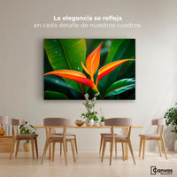 Cuadros Decorativos Canvas Revolution | Heliconia Pura Vida | Montaje4