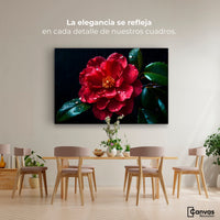 Cuadros Decorativos Canvas Revolution | Magia De Camelia | Montaje4