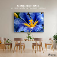 Cuadros Decorativos Canvas Revolution | Magia Flor Iris | Montaje4