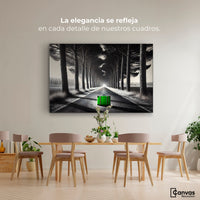 Cuadros Decorativos Canvas Revolution | Maleta Solitaria | Montaje4