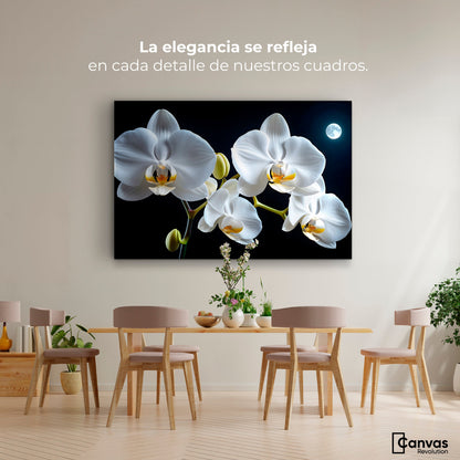 Cuadros Decorativos Canvas Revolution | Orquideas De Noche | Montaje4