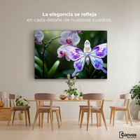 Cuadros Decorativos Canvas Revolution | Orquideas Y Alas | Montaje4