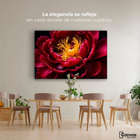 Cuadros Decorativos Canvas Revolution | Peonia Dualidad | Montaje4