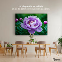 Cuadros Decorativos Canvas Revolution | Peonia Morada Viva | Montaje4