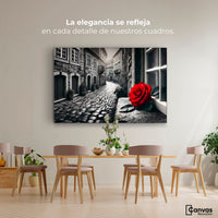 Cuadros Decorativos Canvas Revolution | Piedras Y Petalos | Montaje4