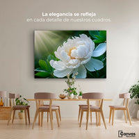Cuadros Decorativos Canvas Revolution | Rayos De Peonia | Montaje4