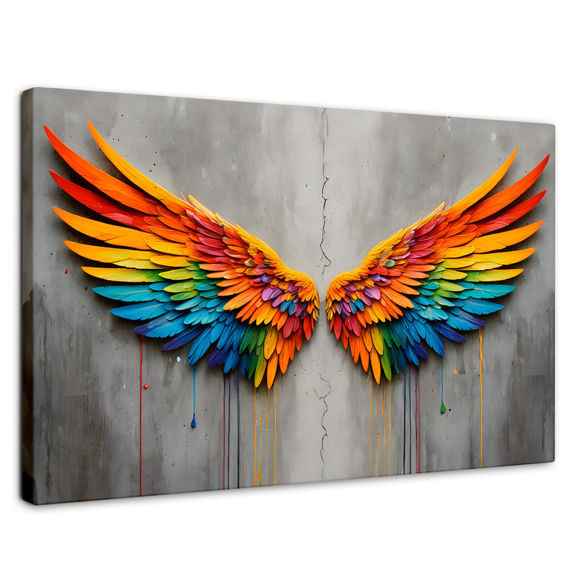 Cuadros Decorativos Canvas Revolution | Alas Angel Colores | Rectangular | Portada | Marco SinMarco
