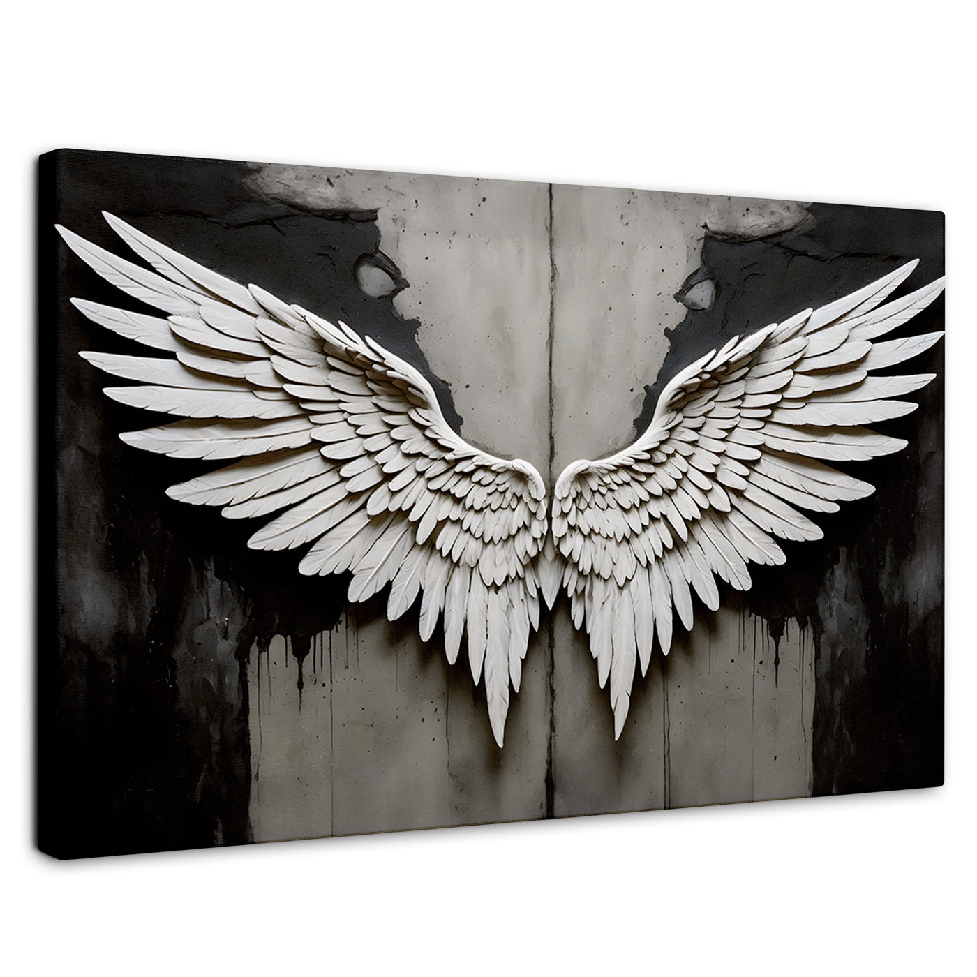 Cuadros Decorativos Canvas Revolution | Alas Angel Sombra | Rectangular | Portada | Marco SinMarco