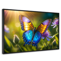Cuadros Decorativos Canvas Revolution | Alas En El Sol | Rectangular | Portada | Marco Negro