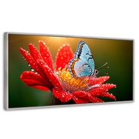 Cuadros Decorativos Canvas Revolution | Alas Sobre Flor | Panoramico | Portada | Marco Blanco