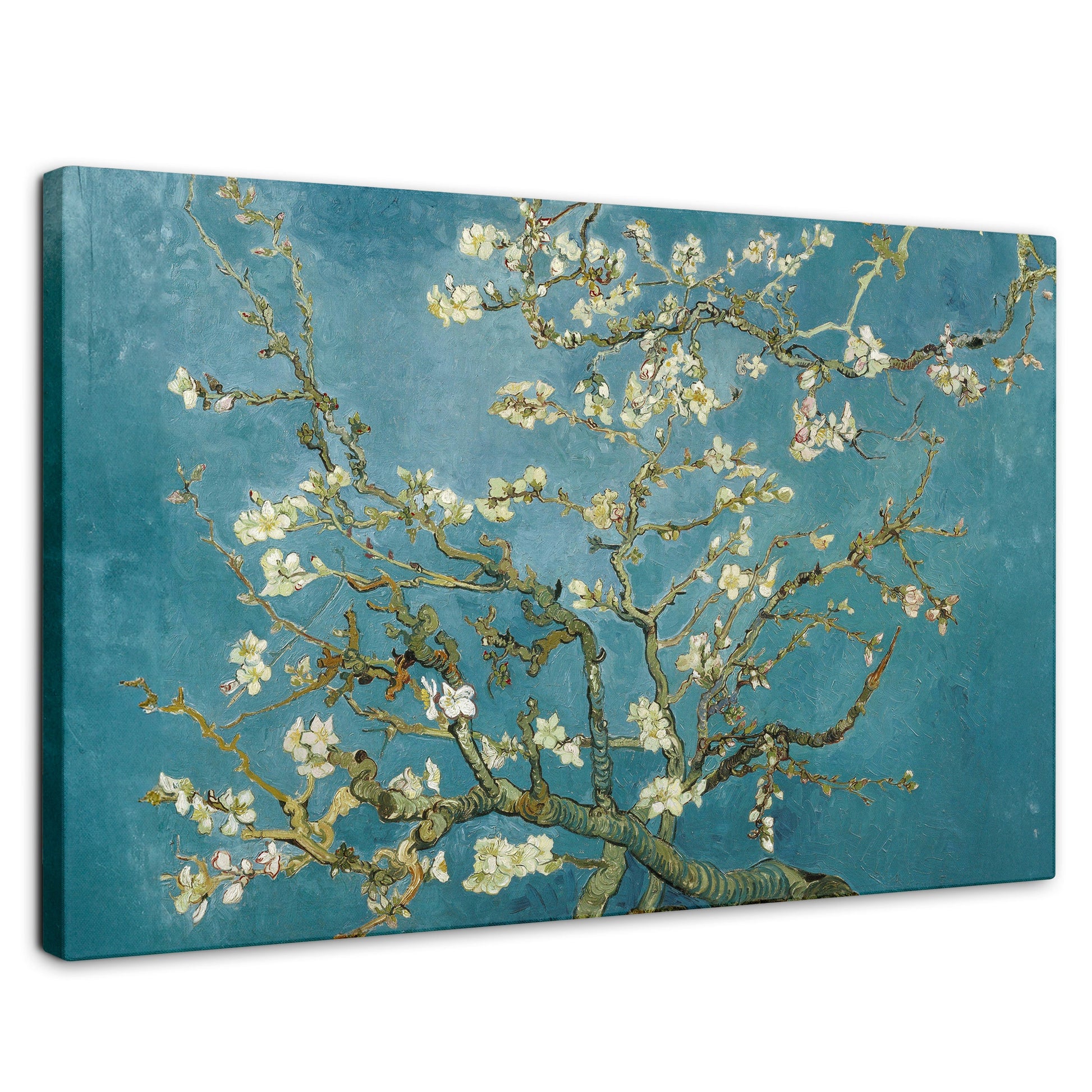 Cuadros Decorativos Canvas Revolution | Almendro En Flor | Rectangular | Portada