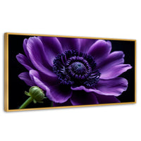 Cuadros Decorativos Canvas Revolution | Anemona Violeta | Panoramico | Portada | Marco Dorado